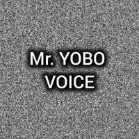 Mr. YOBO - VOICE