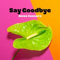 Ames Cassaro - Say Goodbye