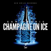 Sam Harris - Champagne on Ice