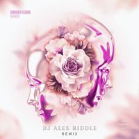 Monoir - Summer's Gone (DJ Alex Riddle Remix)