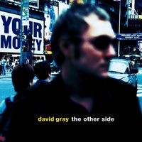David Gray - The Other Side