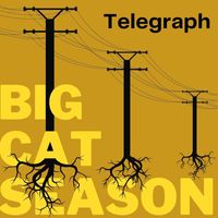 Big Cat Season - Telegraph