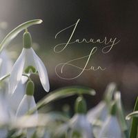 Sunlit Blossom - January Sun