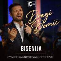 Dragi Domic - Bisenija (Cover)