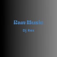DJ Rex - Raw Music