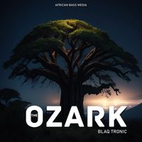 Blaq Tronic - The Ozark