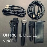 Vince - Un Riche Débile (Explicit)