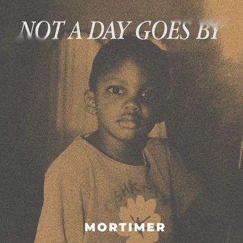 Mortimer - Not A Day Goes By