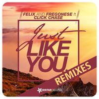 Felix and Fregonese - Just Like You ( Remixes )
