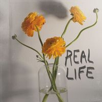 Remedy Drive - Real Life