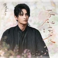 张远 - 落在心上的花 (影视剧《惜花芷》插曲)
