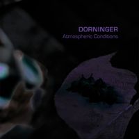 Dorninger - Atmospheric Conditions