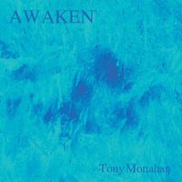 Tony Monahan - Awaken