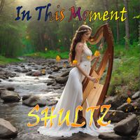 Shultz - In This Moment