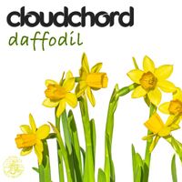 Cloudchord - Daffodil