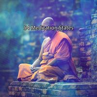 Ambient Forest - 54 Meditation States