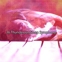 Rain Sounds - 36 Thunderous Sleep Symphony