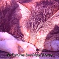 Dormir - 30 Natures Soothing Chorus