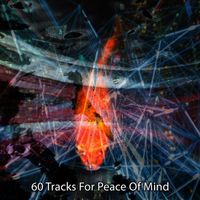 Brain Study Music Guys - 60 Tracks For Peace Of Mind