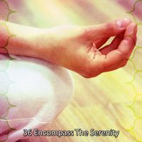 Massage Therapy Music - 36 Encompass The Serenity