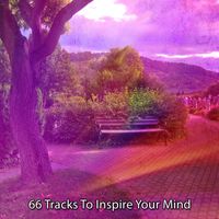 Guided Meditation - 66 Tracks To Inspire Your Mind
