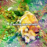 Rain Sounds - 37 Restful Rain Retreat