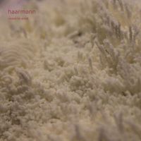Haarmann - Cease to Exist (Single Edit)