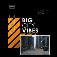 Various Artists - Big City Vibes