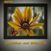 MOTO - Dandelions & Butterflies