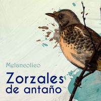 Aníbal Troilo - Zorzales de Antaño… Melancolico