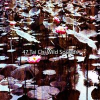 Yoga - 47 Tai Chi Wild Sounds