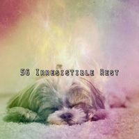 Rest & Relax Nature Sounds Artists - 56 Irresistible Rest