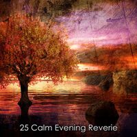 Rain Sounds - 25 Calm Evening Reverie