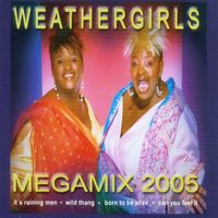 The Weather Girls - Mega Mix 2005