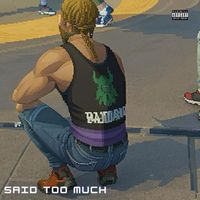 Skyboy - Said Too Much (Explicit)