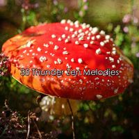 Rain Sounds - 35 Thunder Zen Melodies