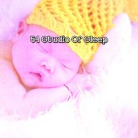 White Noise Babies - 54 Studio Of Sleep