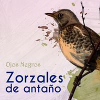 Aníbal Troilo - Zorzales de Antaño… Ojos Negros