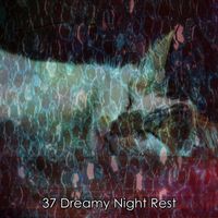 White Noise Babies - 37 Dreamy Night Rest