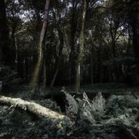 Mental Freak - Darkness
