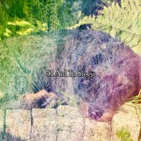 Sleep Sounds of Nature - 51 Aid To Sleep