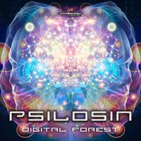 Psilosin - Digital Forest