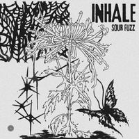 Sour Fuzz - Inhale