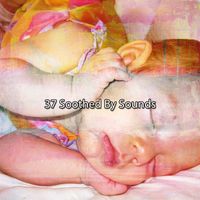 Sleep Sounds of Nature - 37 Soothed By Sounds