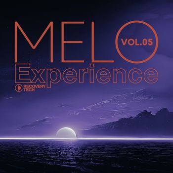 Various Artists - Melo Experience, Vol.05