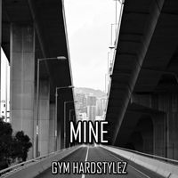 GYM HARDSTYLEZ - Mine