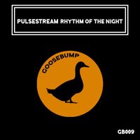 PulseStream - Rhythm of the Night