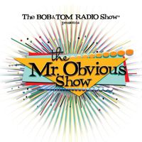 Mr. Obvious - The Mr. Obvious Show