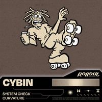 Cybin - System Check / Curvature