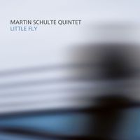 Martin Schulte - Little Fly